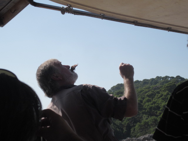 Our captain took the leftover bits of fish and fed his seagull friends by mouth.  Kinda cool and kinda gross.