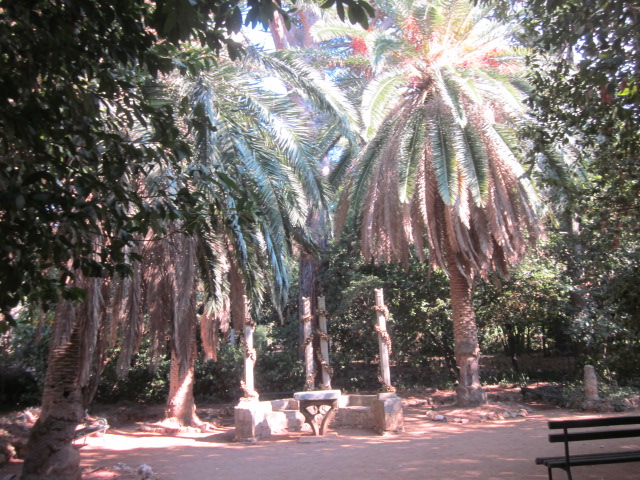 A hidden paradise inside Lopud island