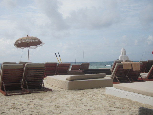 Too bad I can't wake up to this over breakfast every morning