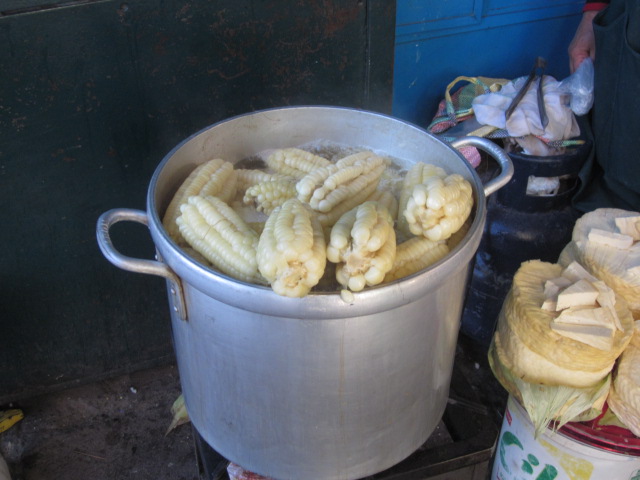 The largest corn I have ever seen, in San Pedro Market