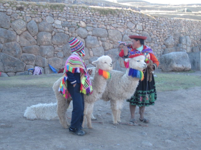 Alpacas...so cute!  Doug would not let me get close.  We were out of money.