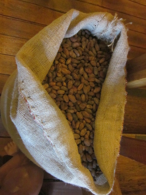 Cacao beans from the Choco Museo