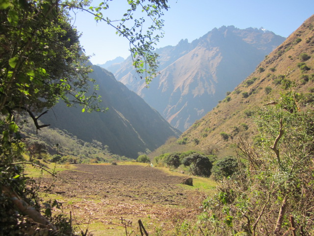 Photo Aug 20, 9 05 56 PM