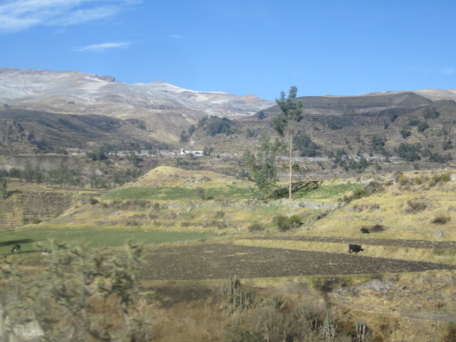 Fertile land for growing corn and potatoes