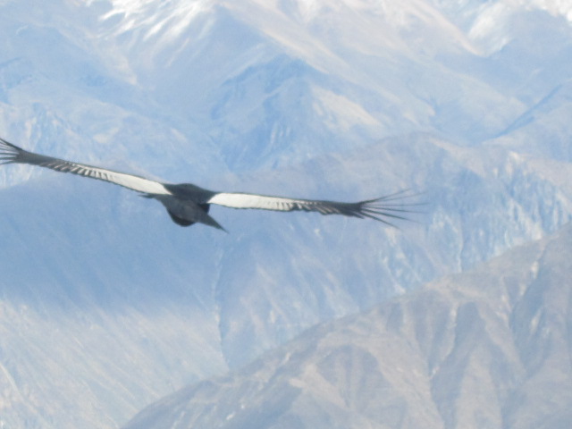 Some of these guys got REALLY up close and personal