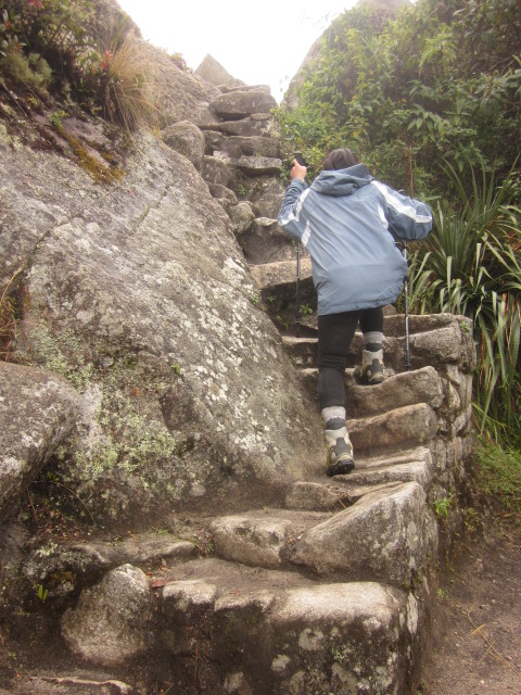 Our life for one straight hour