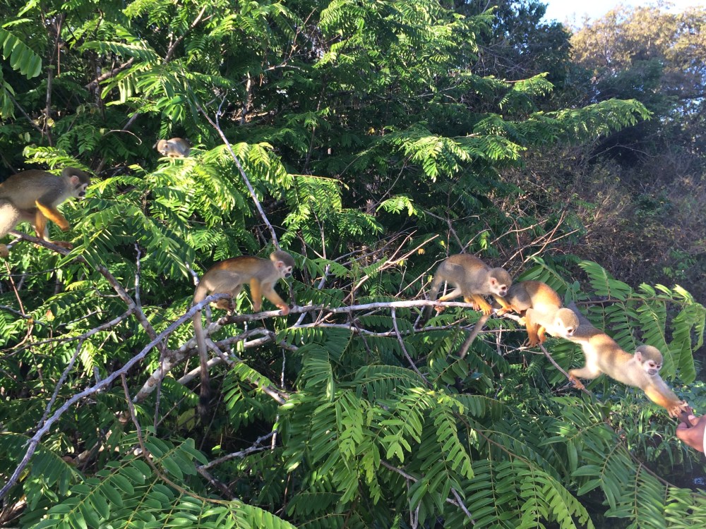 Any shyness they had went out the window when they found out we came bearing food
