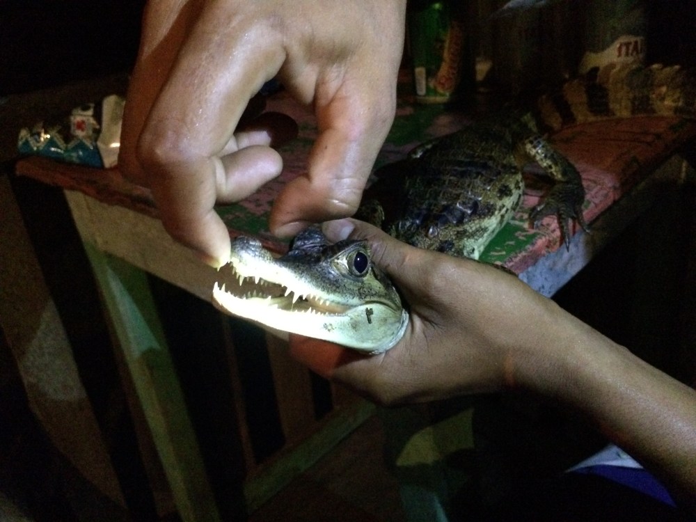 Why yes...they have sharp teeth