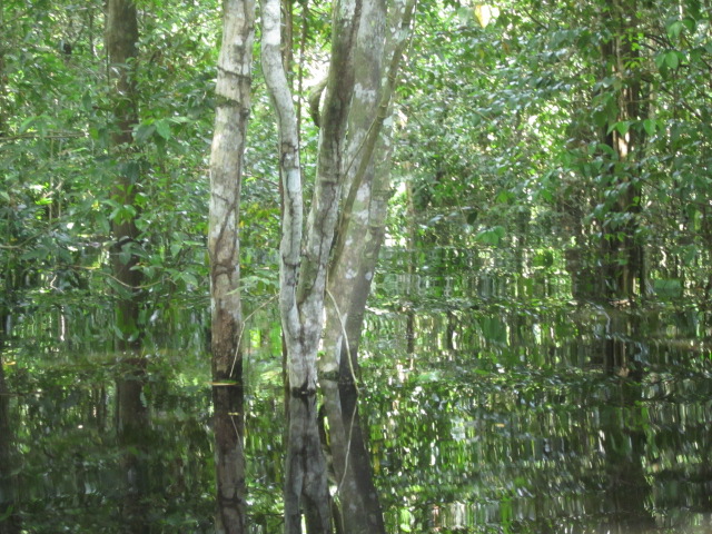 Six months of flooding 