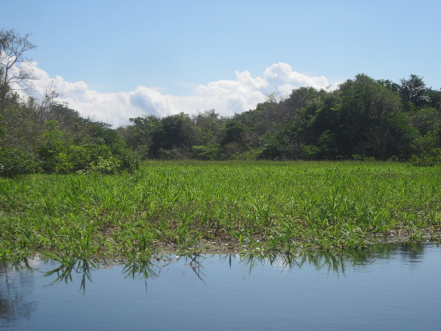 View aboard the speedboat, en route to our little lodge
