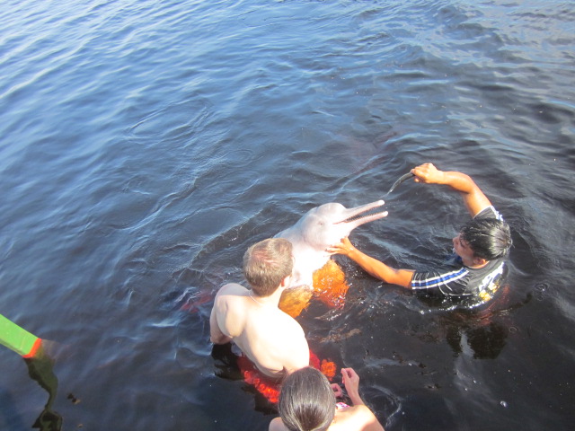 These guys were so friendly but their razor-sharp teeth kept me from getting *too* close