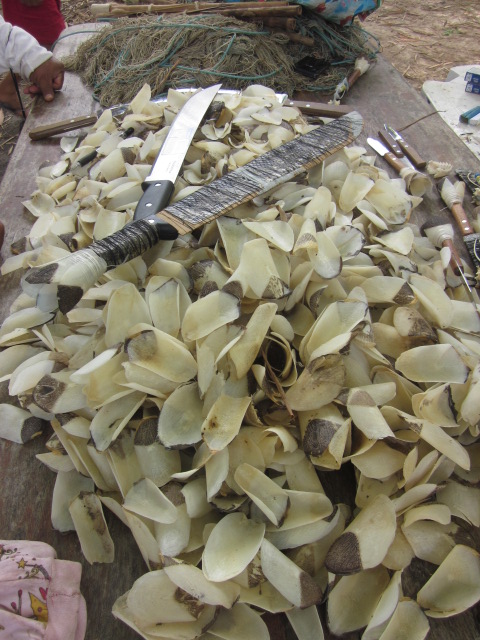 Dried pirarucu scales that double up as nail files and  knife decorations