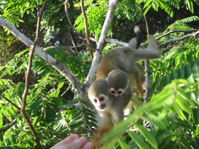 Taking crackers right out of our hands