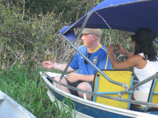 Friendly enough to even sit on some fellow tourists' shoulder!