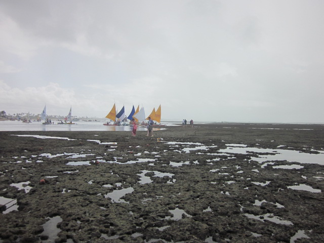 Reefs exposed by the low tide