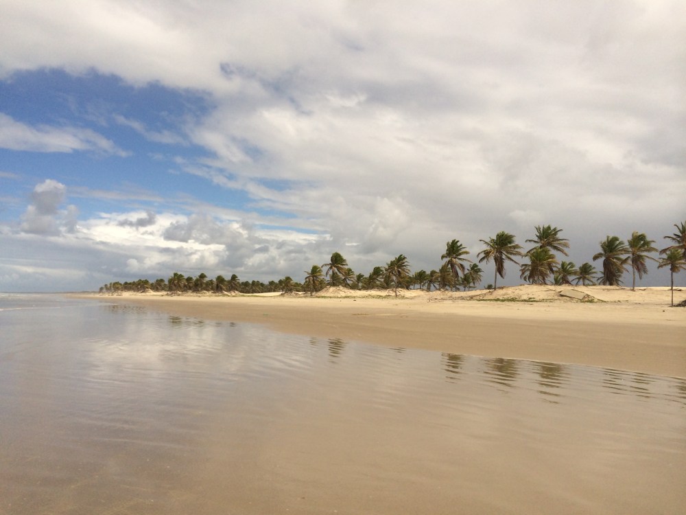 Coastline of Mangue Seco