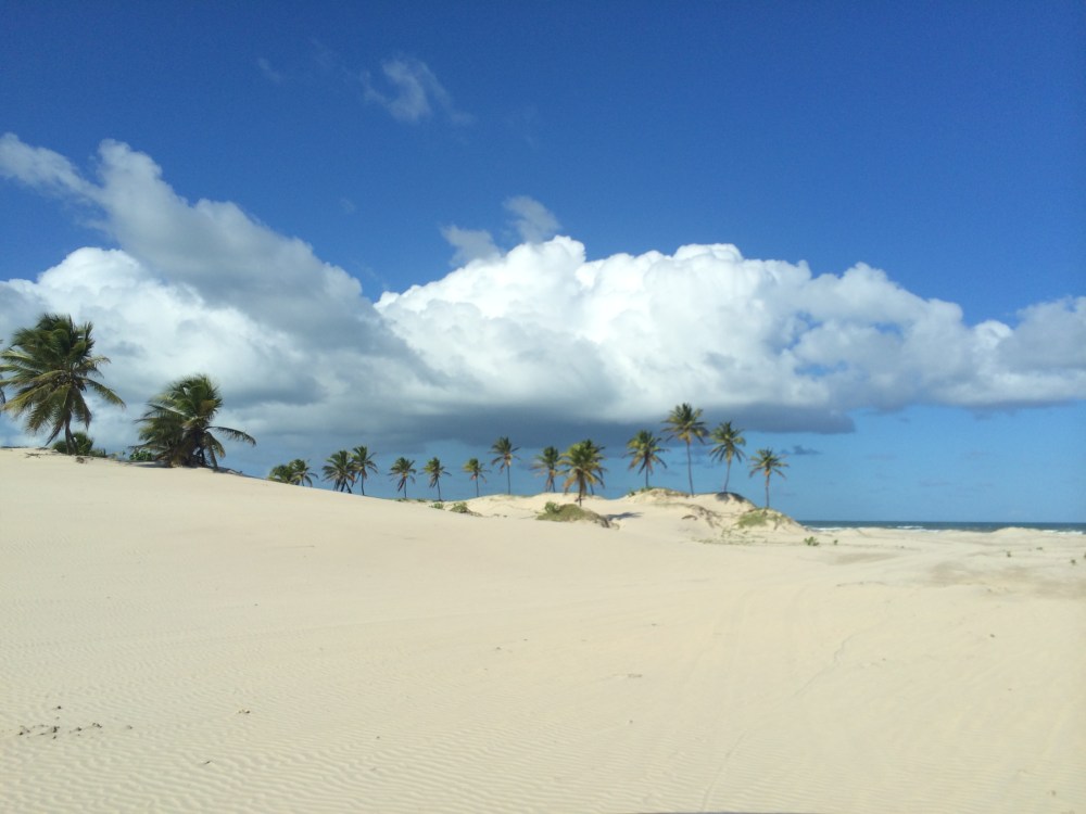 Relaxing drive along the beach