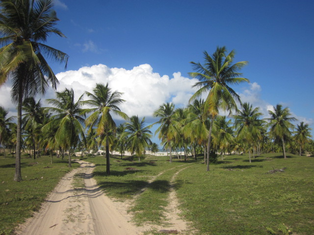 All roads lead to the coast...