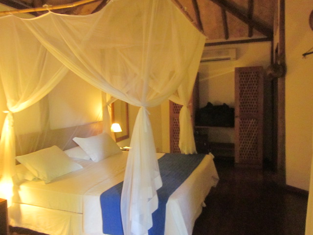 Probably 100 steps above the wooden box we stayed in at the Amazon